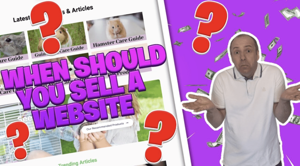 When to sell a website