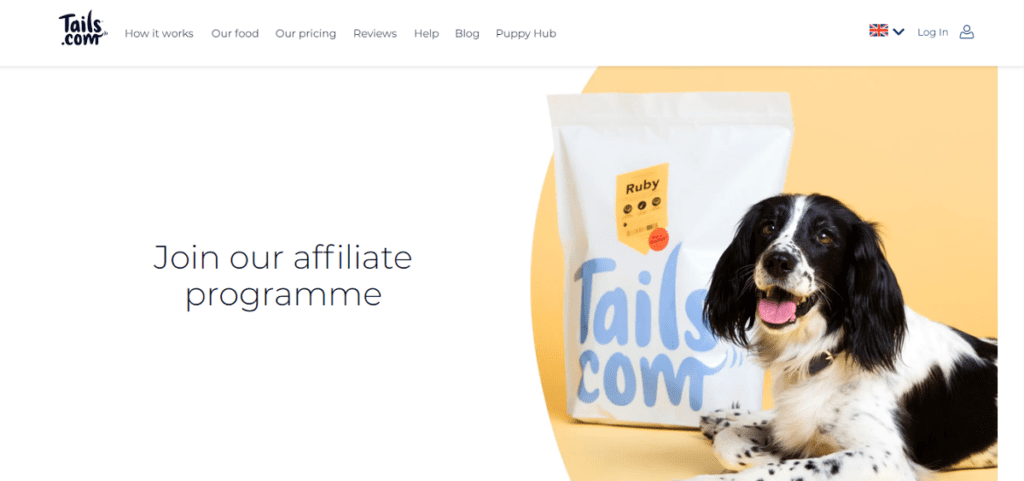 10 Best Dog Training Affiliate Programs To Join In 2024