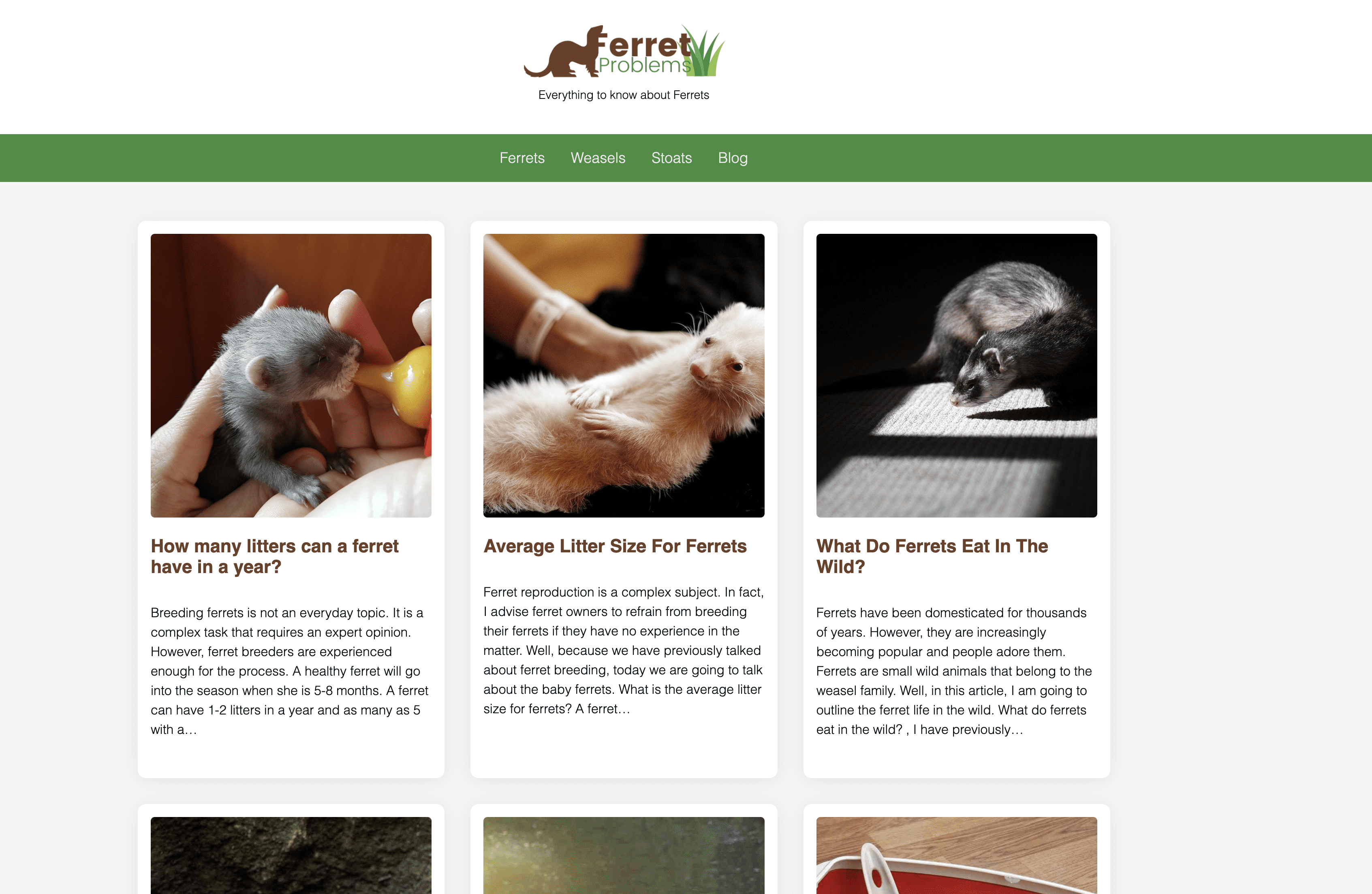 Sold - Ferret Problems - Pet Website
